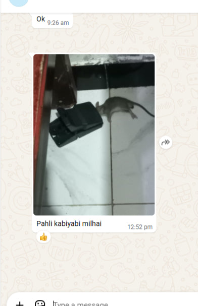New Powerful Snap Mouse Trap - customer review photo